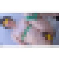 [会員制マル秘イベントお宝映像シリーズ39-2]露出コスプレ、風にたなびく濃い目のアンダーヘアーが意外とエロティックでした サンプル画像