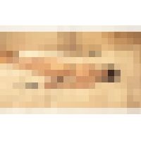 ちせの胃腸音 サンプル画像