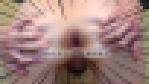 人妻アナル図鑑 3 保坂友利子　画像