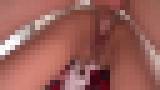 ���߂̓V�g�����֊�� -���ɖēz��- �O�ҁ@�T���v���摜10
