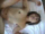 ���^!!�������� �Ƃ�����̐ԊL�����c�B ���ȁ@�T���v���摜14