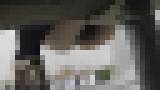 バレたら脱出不能 命がけ潜伏洗面所! Vol.09 フックのようなウンコ サンプル画像01