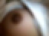 �E�Ζ���P No.15 �E �� �݂����@�T���v���摜04