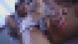 清純クロニクル 三國さらん サンプル画像13