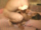 ���^!!�������� �Ƃ�����̐ԊL�����c�B �݂䂫�@�T���v���摜08