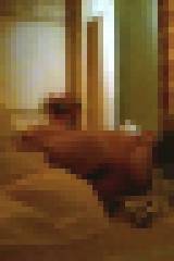 ホテル... 覗いちゃった。 Vol.46 激ヤバ!セックス盗撮7人目!秘密厳守 サンプル画像03