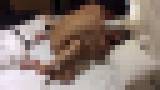 顔出しジョニーの本物素人隠し撮り!19歳帰国子女モテ?ルとの隠し撮り Vol.1 サンプル画像09