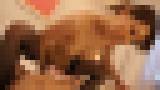 ���t�H�[���K�[�� Vol.88 �k���e�J�s���̑̉t�܂݂�SEX ��ҁ@�T���v���摜10