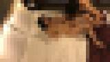 ��o���W���j�[�̖{���f�l�B���B��I�q?�`�q?�`18�Α�w���Ƃ�SEX�B���B��I�@�T���v���摜03
