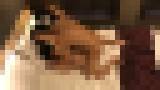 ��o���W���j�[�̖{���f�l�B���B��I�q?�`�q?�`18�Α�w���Ƃ�SEX�B���B��I�@�T���v���摜09