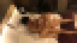 ��o���W���j�[�̖{���f�l�B���B��I�q?�`�q?�`18�Α�w���Ƃ�SEX�B���B��I�@�T���v���摜12