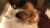 ��o���W���j�[�̖{���f�l�B���B��I�q?�`�q?�`18�Α�w���Ƃ�SEX�B���B��I�@�T���v���摜14
