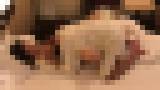 顔出しジョニーの本物素人隠し撮り!純粋巨乳ちゃんとのSEX隠し撮り! サンプル画像01
