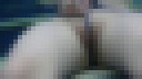���~�b�N�X �`�o�����҇T�` Vol.1�@�T���v���摜14
