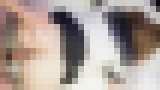 �yFHD1080�z�����j�̏G��Z�b�N�X�I�R�X�v���p�����G�����݂��邿���Ɗ�˂Ō�����������������I�@�T���v���摜10