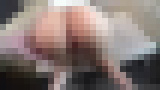 �s�܂��}�� ���f����������21��5��� �G�����C�h��^�������o���ł���d�D�P!?�@�T���v���摜04
