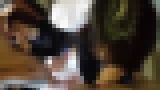 ぱすもさんの個撮シリーズ!県立進学校テニス部 ハメ撮り女の子2人で4p サンプル画像09