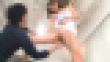 �y���U�C�N�j��z�u���Ⓒ �S�C�L�o�� �ԍ炢����v�O�ҁ@�T���v���摜03