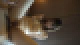 �n���B��i���p�e��!�Z�{�،nG�J�b�v�������f�l�� �N���u�ő��}��GET�u���͂��߂��ƌ����ޏ��ɒ��o����t��SEX�v�@�T���v���摜09
