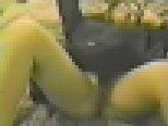 �k�C������ ���� 18�΁@�T���v���摜02