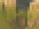 �k�C������ ���� 18�΁@�T���v���摜03