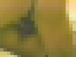 �k�C������ ���� 18�΁@�T���v���摜12