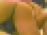 �k�C������ ���� 18�΁@�T���v���摜13