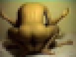 �k�C������ �܂� �Ք� 18�΁@�T���v���摜05