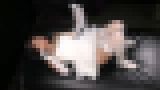 ���C��AV���o�u���L�̕P�N���� �`�G�ɕ߂܂����v�����Z�X�̖��S�Ȃ�^���` Episode-2 ��΋����̉����A�����A����̑S�Ă�j���� �k��肱�v�@�T���v���摜07