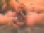 �k�C������ �ꂢ���i�܂݁j 18�΁@�T���v���摜05