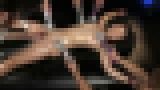 無修正AV流出「恐淫アクメ 淫閣 PUSSY HUNTING HOUSE Part VII 狂い哭く清純派女子大生 恥辱的強●女体開発の罠 相澤ゆりな」 サンプル画像08