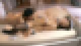 【モザイク破壊】「あやみ旬果の、いっぱいコスって萌えてイこう!」Vol.1 サンプル画像09