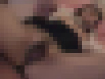 �F�s�{���ہ[�Ɣ��� ���J 18�΁@�T���v���摜01