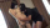 ���얃�� �E���C���l�B�e����u�����B�聙��Ղ̎O�\�H����?�����[�X�N�B�[��?�ɔ�BODY�̏\�a�q����32��?�����I�A���C�L?�hM�C���}�ɟ����炵�~��?�勻���̑�ʒ��o��?�v�@�T���v���摜02
