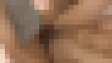 無修正AV流出「ボクの家は女子バレーボール部の下宿先でエッチな年頃の女子○生たちとひとつ屋根の下！！父がバレーボール部の監督なので我が家には県外出身の…」　サンプル画像13