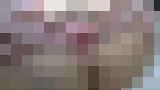 �����ȂȂ݁E���C���l�B�e����@�u���S��o��?�������K�̃i�C�X�o�f�B�ȃl�C���X�g�̃L���J���n���q���������ɂ����Ղ�ƒ��o�������Ⴂ�܂���?�v�@�T���v���摜02