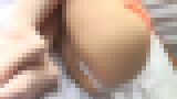 �s�[�`�I�R���N�V�����@�T���v���摜08