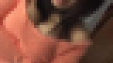 �s�[�`�I�R���N�V�����@�T���v���摜09