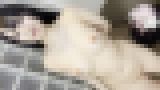 正統派アイドル系AV女優・清宮すずの無修正個人撮影中出し動画「透き通るような色白美巨乳♪容姿端麗美しいお顔立ちの美女☆生中出しプレスで欲しがりパイパンま〇こから溢れ出る精子。」※音声異常・映像乱れ有り サンプル画像01