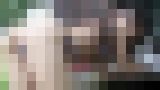 �~�]�̃X�C�b�`�@�T���v���摜12
