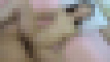 ���C���l�B�e����u��������������D�u�]�̑�w���B�������킾�Ǝv������E�J�b�v�̔������������킹�����햺�ł����B�v���f������L��@�T���v���摜11