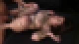 無修正AV流出「達磨アクメ DEVIL STORY 女体の奥に隠された残酷淫ら Part-2 マッスルインストラクター、沙也加の場合」Vol.5 サンプル画像07