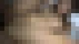 ���C���l�B�e����u�g��140cm��̏����M�����B�`���|���C�����ǂ����č��v6����n�������R�炵�B�v�@�T���v���摜08
