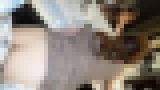 薄消し個人撮影動画「石原さ●み似の超美形19歳の神乳を堪能しました」 サンプル画像13