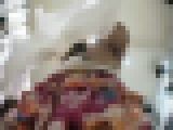 Mr.���C�� 12 �Ԏ��X�J�X������ �s���NTP�@�T���v���摜02