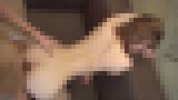 逮捕された車フェラ＋1「100%ピュア巨乳美少女を「初はめ完成」ソファに流れる程の中出し「２回目しませんか？」発言に初老も唖然！２回目、大量顔射」　サンプル画像12