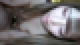 無修正個人撮影動画「高身長Ｇカップ巨乳白ギャルの初コスプレ！キャンギャルに扮して着衣生ハメ中だしとゴックン！さらにベットでも中だしの計三発?」　サンプル画像08