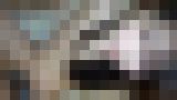 無修正個人撮影動画「色白美乳!ウェザーニュース女子アナに居てもおかしくないビジュアル!知的な雰囲気で大人しそうな感じが豹変?急に「オ〇サンのチ〇ポ欲しい〜」と懇願 ゴックン中だし」 サンプル画像09