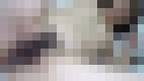 無修正個人撮影動画「ジャングルまんこ！【中出し】パンツからはみ出るほどの剛毛。そして美乳にデカ尻とたまらないボディ。言いなり気質なドMちゃんが『せいしくだしゃい』とおねだりするので中出し。」　サンプル画像11