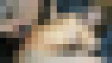 無修正個人撮影動画「学費のため… 顔、身体、おまんこ全てが上な明治大に通う高学歴のしほちゃんを低学歴前科持ちのチンポがイカセまくる」 サンプル画像07